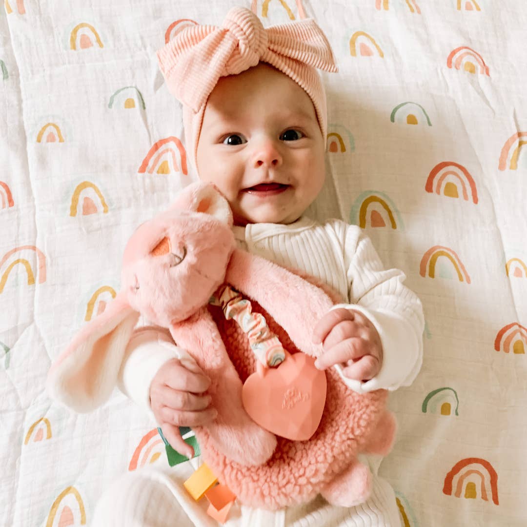 Itzy Lovey™ Plush with Silicone Teether Toy | Itzy Ritzy (2 Style Options)