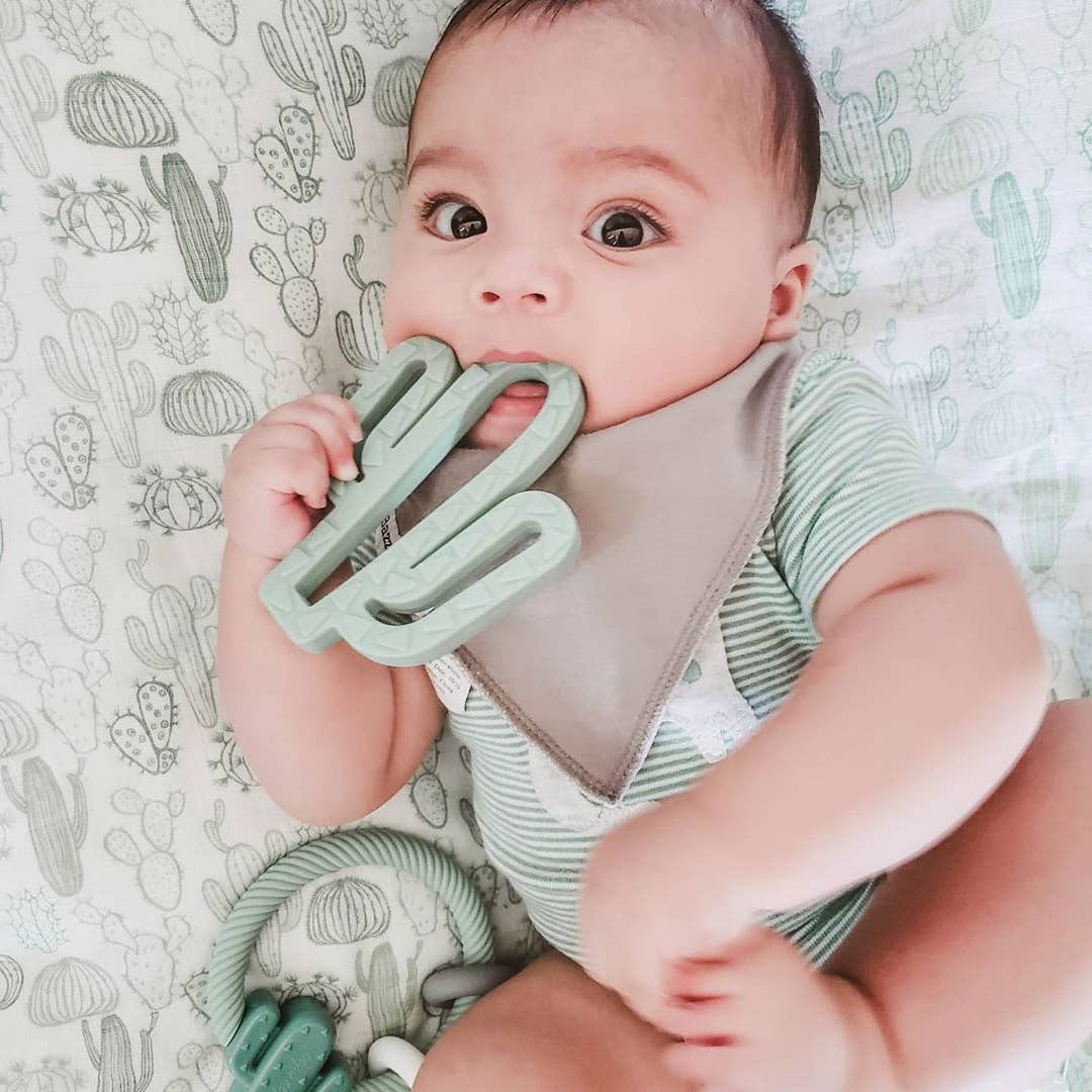Chew Crew™ Silicone Baby Teethers | Itzy Ritzy (4 Style Options)