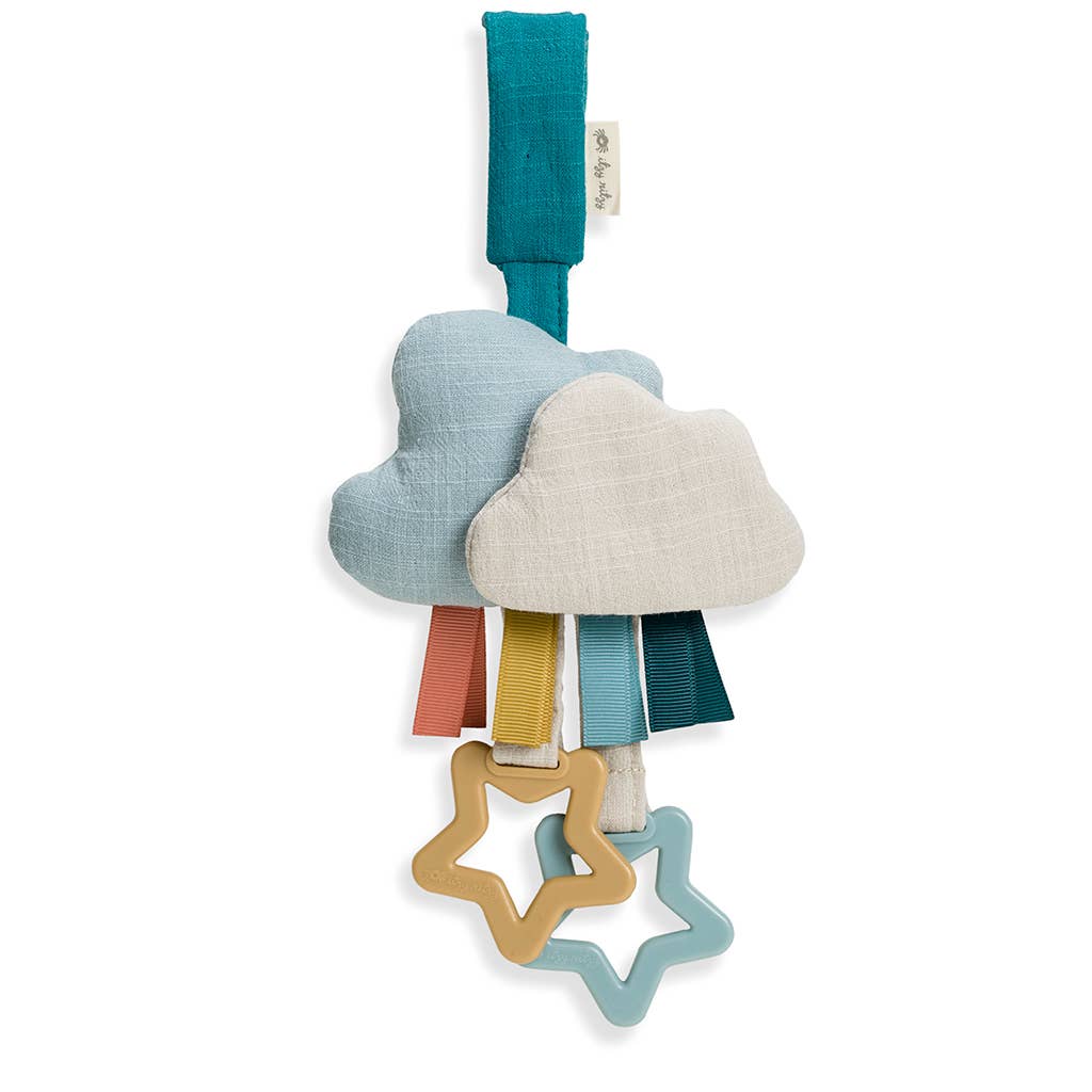 Ritzy Jingle™ Cactus Attachable Travel Toy | Itzy Ritzy (4 Style Options)