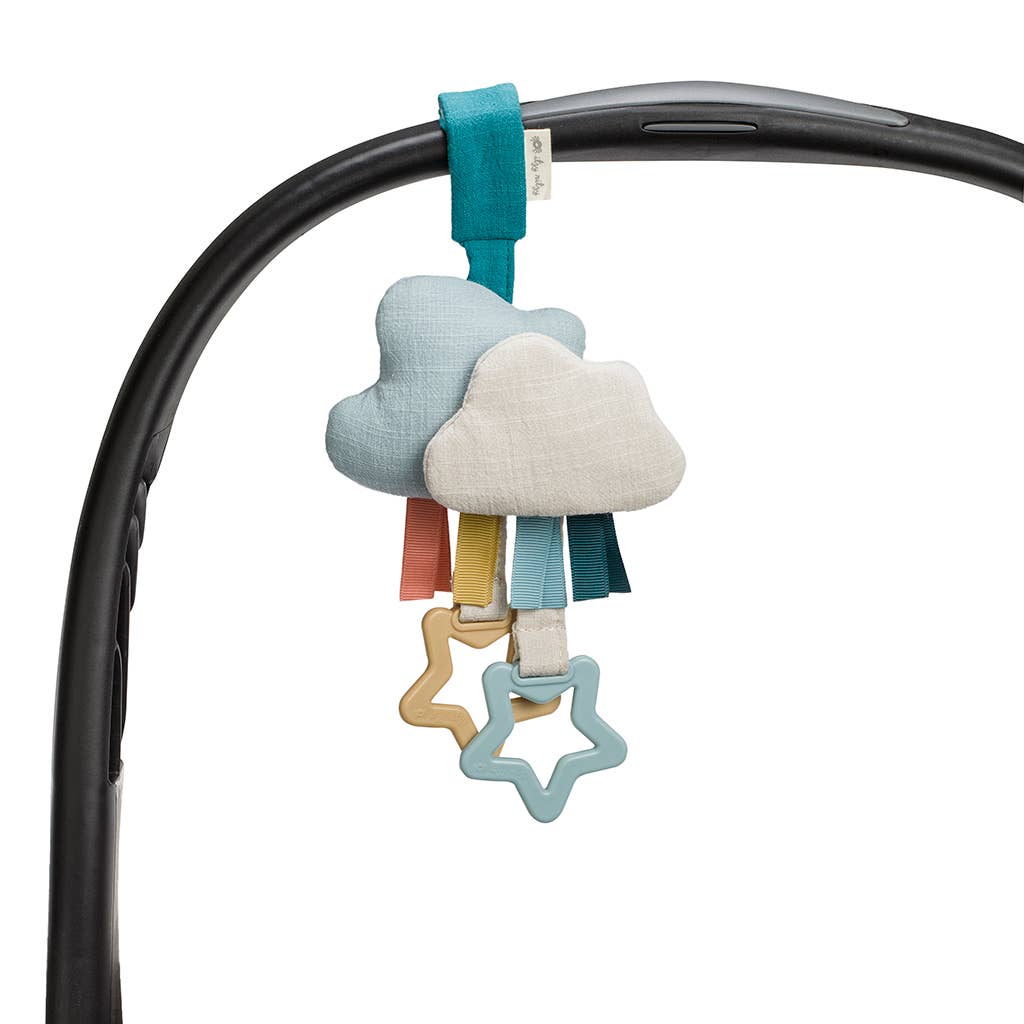Ritzy Jingle™ Cactus Attachable Travel Toy | Itzy Ritzy (4 Style Options)