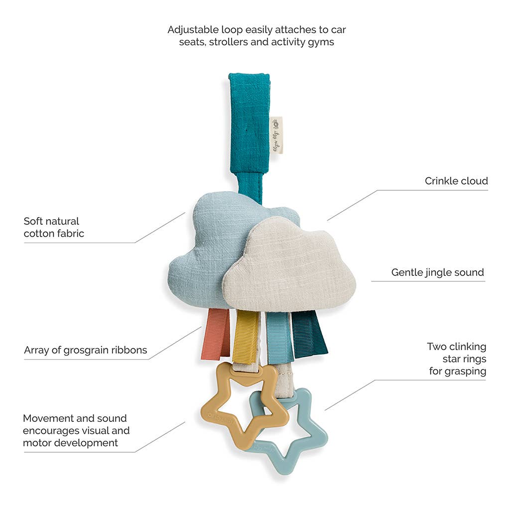 Ritzy Jingle™ Cactus Attachable Travel Toy | Itzy Ritzy (4 Style Options)