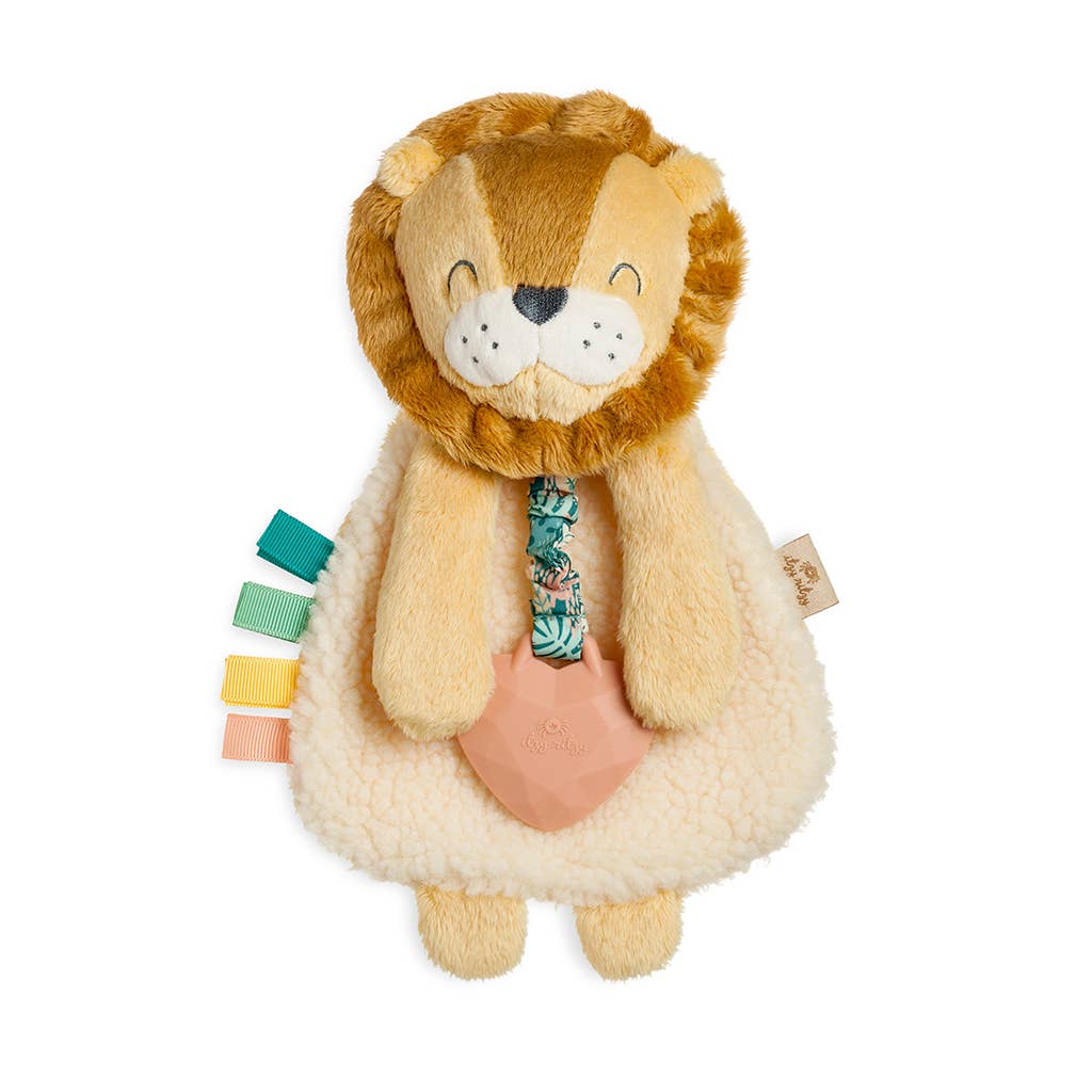 Itzy Lovey™ Plush with Silicone Teether Toy | Itzy Ritzy (2 Style Options)